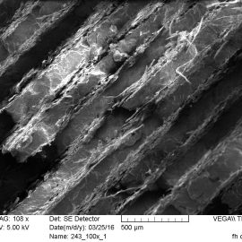 Novel journal publication in “Composites: Part A”