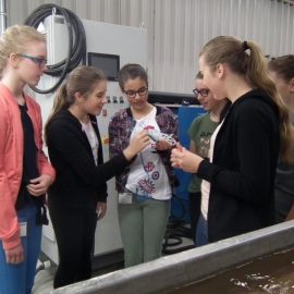 Colourful diversity on Girls’ Day